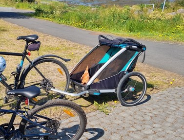 Two-child cycle trailer ISK 6,825