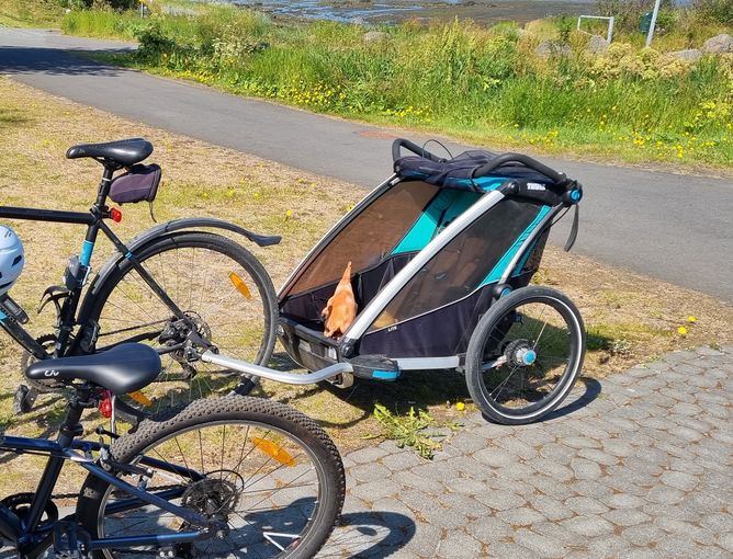 Two-child cycle trailer ISK 6,500